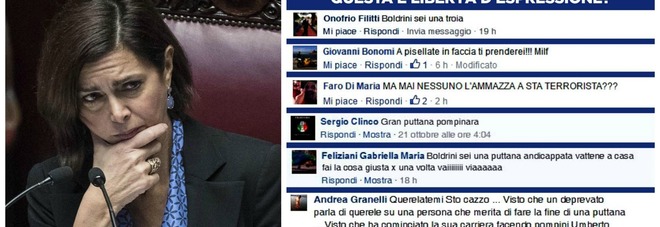 boldrini insultata facebook